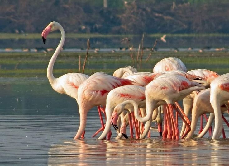 Kumana National Park